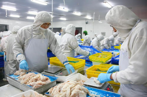 职业化设计视角下的食品工厂排水系统与婚姻介绍服务的共通点探析